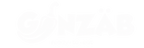 GINZÄB – Startsida
